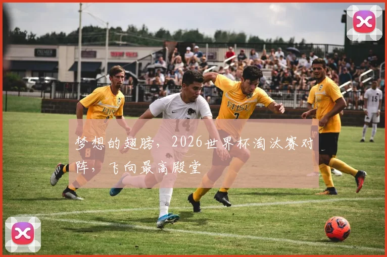 梦想的翅膀，2026世界杯淘汰赛对阵，飞向最高殿堂