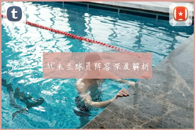 AC米兰球员阵容深度解析