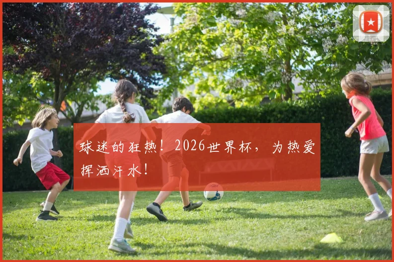 球迷的狂热！2026世界杯，为热爱挥洒汗水！