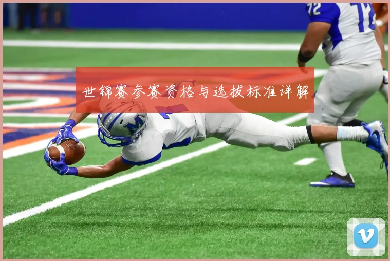 世锦赛参赛资格与选拔标准详解