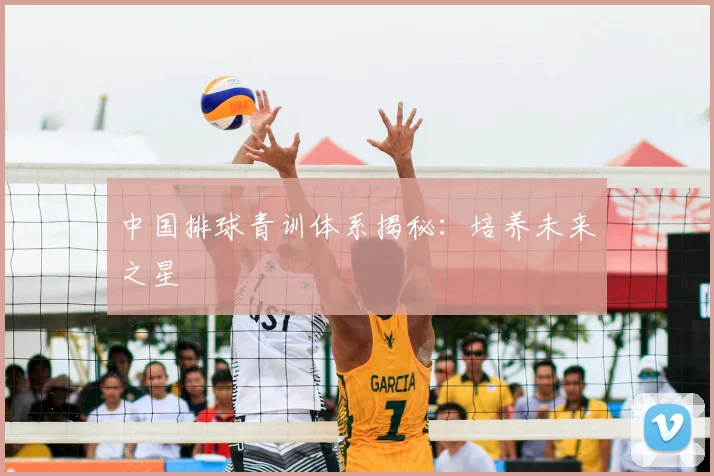 中国排球青训体系揭秘：培养未来之星